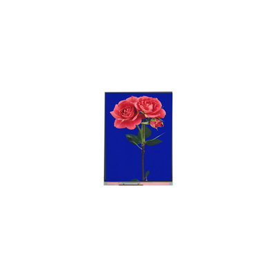Καλή τιμή 800*1280 C080SWW3-1 8,0 ιντσών TFT LCD οθόνη για Pad σε απευθείας σύνδεση