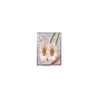 Καλή τιμή C084GNS1-1 800*600 8,4 ιντσών TFT LCD οθόνη για βιομηχανικές συσκευές σε απευθείας σύνδεση