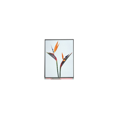 Καλή τιμή 9.0 ιντσών C090NWP1 R0 800*480 TFT LCD Display Panel σε απευθείας σύνδεση