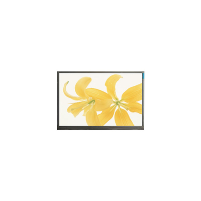 Καλή τιμή 10.4 ιντσών οθόνη LCD LPM104GNX1 R1 TFT LVDS 262K σε απευθείας σύνδεση