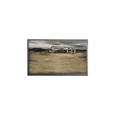 Καλή τιμή Αρχικό 10,1 ιντσών P101GWWF R0 1280*800 LCD Panel για Tablet σε απευθείας σύνδεση