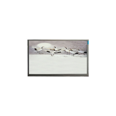 Καλή τιμή P101GWWF R2 10,1 ιντσών 1280*800 LCD οθόνη για Pad σε απευθείας σύνδεση