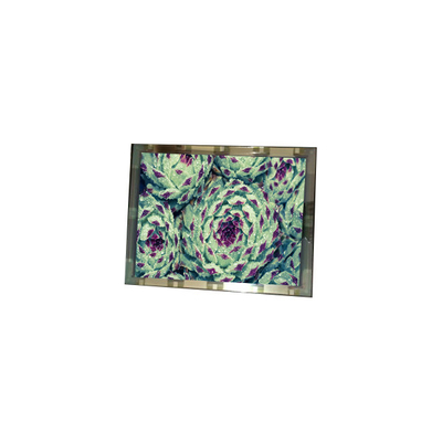 Καλή τιμή 276*128 EL4836HB-ICE 6,3 ιντσών 110 cd/m2 LCD οθόνης σε απευθείας σύνδεση