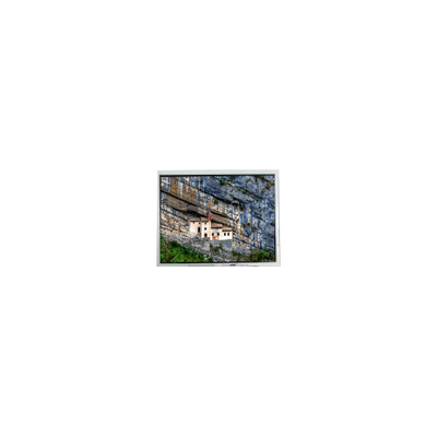 Καλή τιμή 320*234 FG060400ANCWA-01 6,4 ιντσών LCD Panel για ψηφιακό πλαίσιο φωτογραφίας σε απευθείας σύνδεση