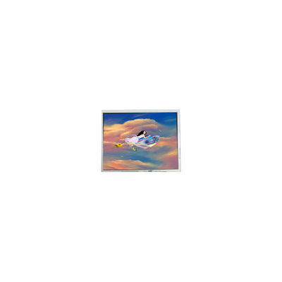 Καλή τιμή 3.5 ιντσών 800*600 GPN5035M21CG LCD Πίνακα λευκό Προβολέα σε απευθείας σύνδεση
