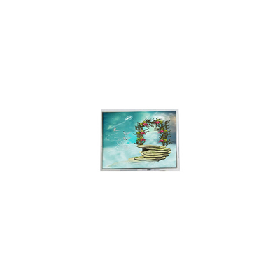 Καλή τιμή TFT1N5918 6,9 ιντσών οθόνη LCD 800*480 LVDS σε απευθείας σύνδεση