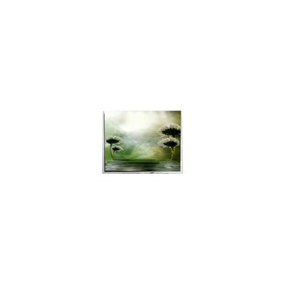 Καλή τιμή 10.4 ιντσών οθόνη LCD TFT1P1799-E 960*1280 για αυτοκίνητα σε απευθείας σύνδεση