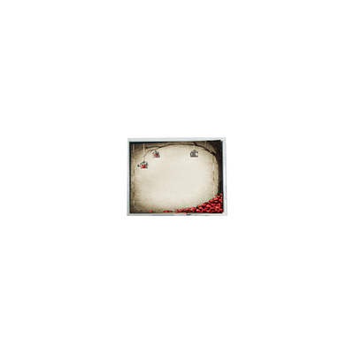 Καλή τιμή TFT9D6672 6,9 ιντσών 800*480 600:1 LCD οθόνη σε απευθείας σύνδεση