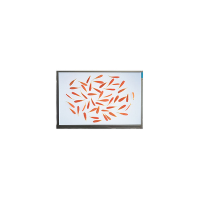 Καλή τιμή νέα 6,9 ιντσών M069AWA1 R0 1280*720 οθόνη LCD lcd Panel σε απευθείας σύνδεση