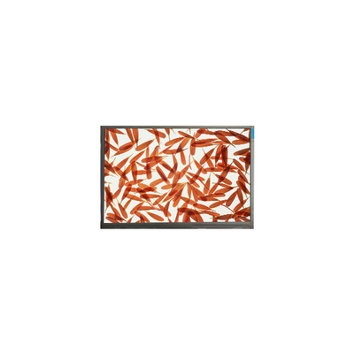 Καλή τιμή M090AWA6 R1 1280*720 9,0 ιντσών οθόνη LCD για εξωτερική υψηλή φωτεινότητα σε απευθείας σύνδεση