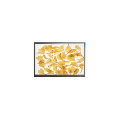 Καλή τιμή M090AWA7 R0 9.0 ιντσών 1280*720 16.7M WLED LCD Panel σε απευθείας σύνδεση