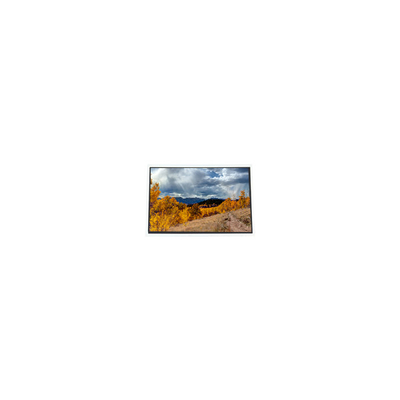 Καλή τιμή C080VAN02.6 8.0 ιντσών 800*480 LCD Panel για αυτοκίνητα σε απευθείας σύνδεση