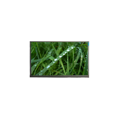 Καλή τιμή 10.1 ιντσών οθόνη LCD N101BGE-L31 262K οθόνη LCD σε απευθείας σύνδεση