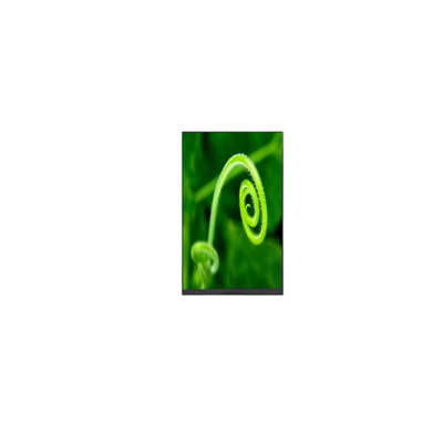 Καλή τιμή Ζεστή πώληση 8.0 ιντσών P080DCZ-3Z1 16.7M LCD οθόνη ΠΑΝΕΛ σε απευθείας σύνδεση