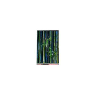 Καλή τιμή Αρχική 1080*1920 PJ055IC-02M 5,5 ιντσών WLED οθόνη LCD Μέρη σε απευθείας σύνδεση