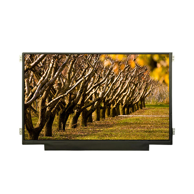 Καλή τιμή B116XTK01.0 11,6 ιντσών 1366*768 οθόνη LCD νέα πρωτότυπη σε απευθείας σύνδεση