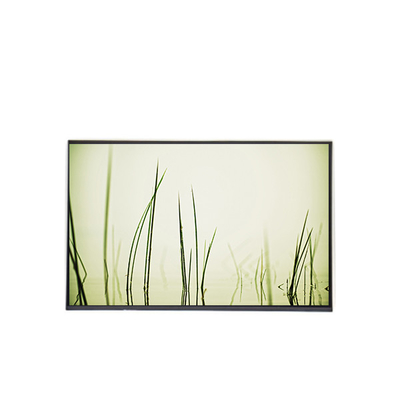 Καλή τιμή B160ZAN01.R LCD Πίνακας οθόνης φορητού υπολογιστή 16,0 ιντσών σε απευθείας σύνδεση
