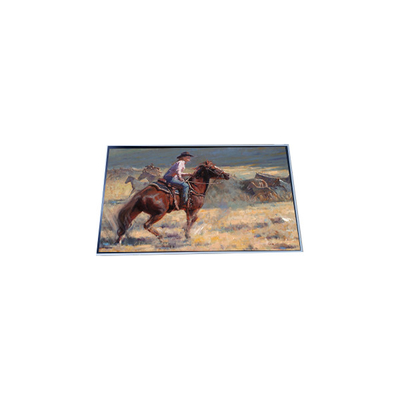 Καλή τιμή Πίνακας οθόνης LCD 1920*720 29,4 ιντσών σε απευθείας σύνδεση