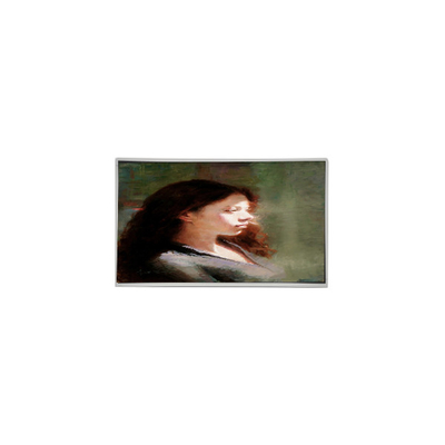 Καλή τιμή P353KVN01.0 35,3 ιντσών 1600*1800 οθόνη οθόνης LCD για ψηφιακή σήμανση σε απευθείας σύνδεση
