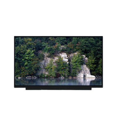 Καλή τιμή PV173FHM-N80 17,3 ιντσών 1080p LCD οθόνη οθόνης σε απευθείας σύνδεση
