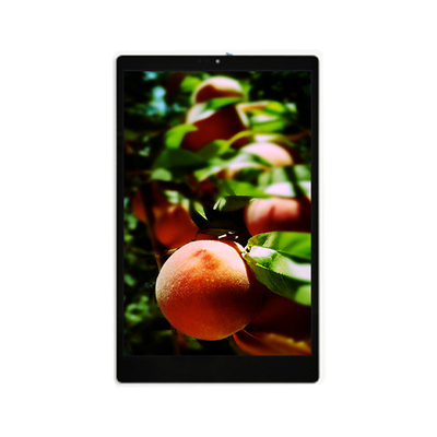 Καλή τιμή Νέο 800*1280 TV101WXU-N91 10,1 ιντσών LCD οθόνη σε απευθείας σύνδεση