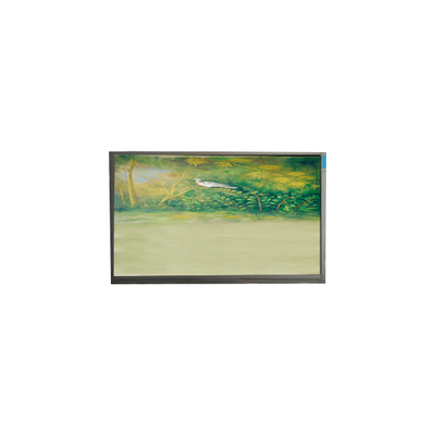 Καλή τιμή U062SWR6-0 6,2 ιντσών 720 * 1600 οθόνη LCD για κινητό τηλέφωνο σε απευθείας σύνδεση