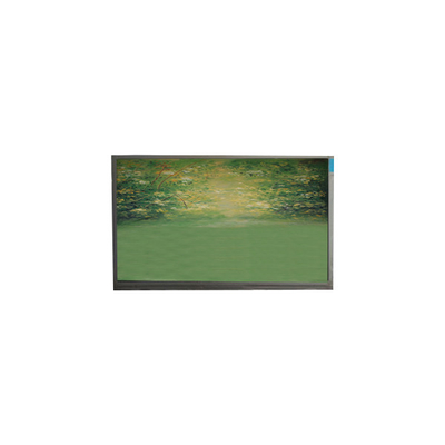 Καλή τιμή Αρχική οθόνη οθόνης LCD 6,3 ιντσών U063SWR2-0 σε απευθείας σύνδεση