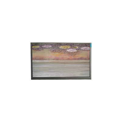 Καλή τιμή 6.1 ιντσών TFT LCD Panel U061SWR6-0 οθόνη οθόνης lcd σε απευθείας σύνδεση