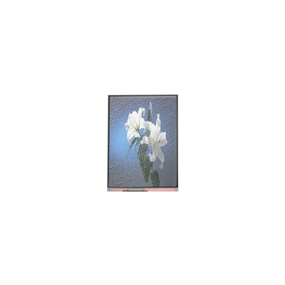 Καλή τιμή C090SWP1-2 9,0 ιντσών 800*480 οθόνη LCD για οθόνη αυτοκινήτου σε απευθείας σύνδεση