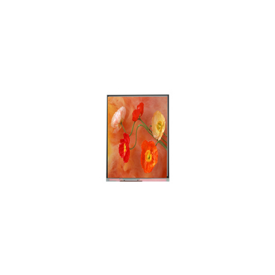 Καλή τιμή Αρχικό C070AWP9 R0 7.0 ιντσών LCD Display Panel σε απευθείας σύνδεση