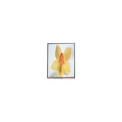 Καλή τιμή C050SWAN-0 5,0 ιντσών 720*1280 οθόνη LCD σε απευθείας σύνδεση