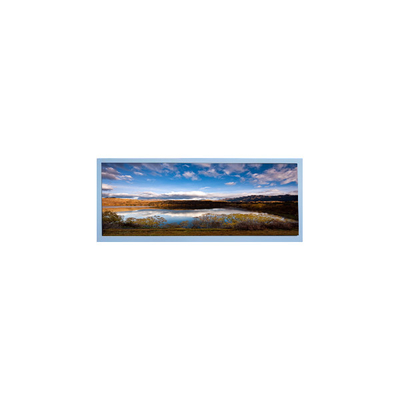 Καλή τιμή M102AWF2 R3 10,3 ιντσών οθόνη LCD TFT οθόνη LCD για οθόνη αυτοκινήτων σε απευθείας σύνδεση