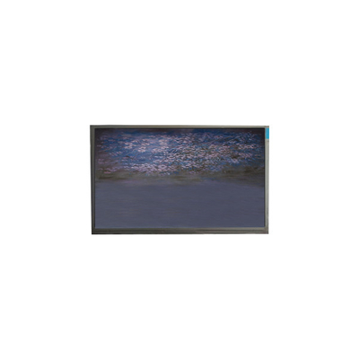 Καλή τιμή U055SWRA-1 5.5 ιντσών οθόνη LCD 720*1440 μόντελο οθόνης LCD σε απευθείας σύνδεση