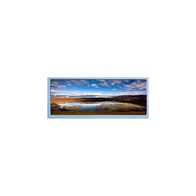 Καλή τιμή M102AWF2 R2 10,3 ιντσών 1920*720 LCD οθόνη οθόνης σε απευθείας σύνδεση