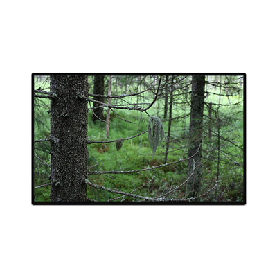 Καλή τιμή TV101WUB-NW1-D9P0 10,1 ιντσών 1200*1920 LCD οθόνη σε απευθείας σύνδεση