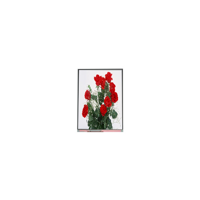 Καλή τιμή C065SWR1-0 6.5 ιντσών οθόνη LCD 720*1560 οθόνη LCD σε απευθείας σύνδεση