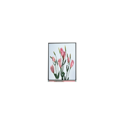 Καλή τιμή 5.7 ιντσών 720*1520 C057SWR2-0 οθόνη LCD για κινητό τηλέφωνο σε απευθείας σύνδεση