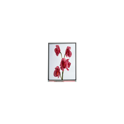 Καλή τιμή 480*960 C060SWY7-0 6,0 ιντσών LCD οθόνη σε απευθείας σύνδεση