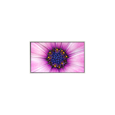 Καλή τιμή 7.0 ιντσών TT070WVM-NW1 800*480 οθόνη LCD για οικιακή συσκευή σε απευθείας σύνδεση