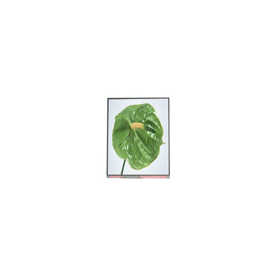 Καλή τιμή C050SWYM-0 5,0 ιντσών 480*960 LCD οθόνη για τηλέφωνο σε απευθείας σύνδεση