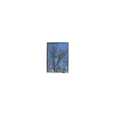 Καλή τιμή 5.5 ιντσών LS055T1SX29 1080*1920 FHD LCD οθόνη Πίνακα σε απευθείας σύνδεση