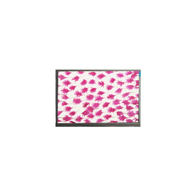 Καλή τιμή 9.0 ίντσες 800*480 LCD οθόνη οθόνης E090SWP1 R2 LCD πάνελ σε απευθείας σύνδεση