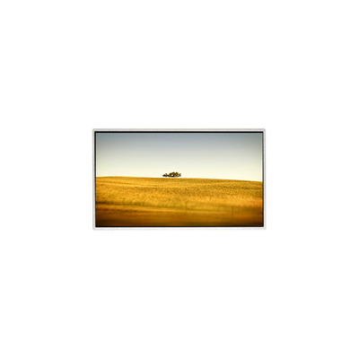 Καλή τιμή Ζεστή πώληση 10,1 ιντσών TT101WSQ-N10 1024 * 600 οθόνη οθόνης LCD για Netbook PC σε απευθείας σύνδεση
