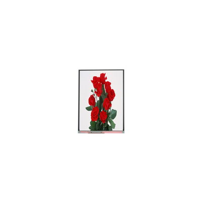 Καλή τιμή ΝΕΑ 6,2 ιντσών C062SWP1-1 800*480 οθόνη LCD σε απευθείας σύνδεση