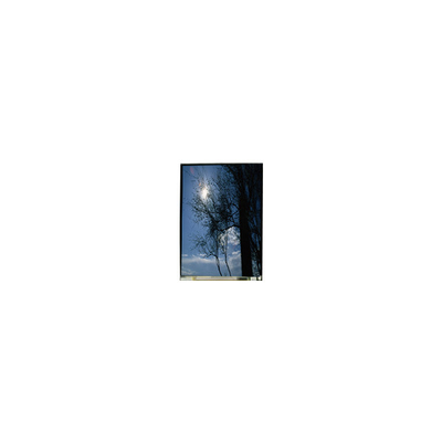 Καλή τιμή LS055T1SX09 5,5 ιντσών 1080*1920 TFT-LCD LCD οθόνη σε απευθείας σύνδεση