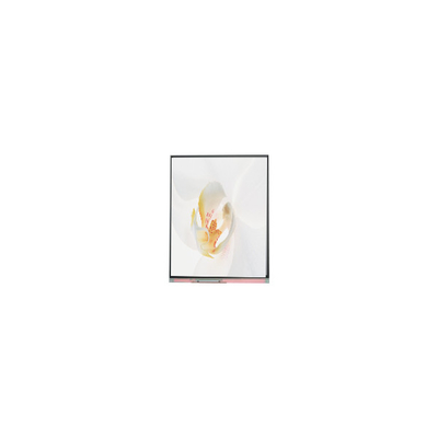 Καλή τιμή C050SWYD-2 5,0 ιντσών 480*854 οθόνη LCD σε απευθείας σύνδεση