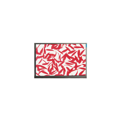 Καλή τιμή C116NWR5-0 11,6 ιντσών 1366*768 TFT LCD οθόνη σε απευθείας σύνδεση