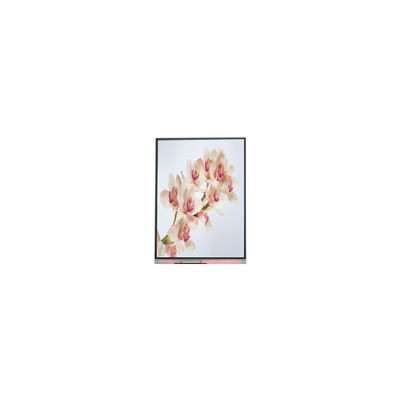 Καλή τιμή C060SWA4-0 ΝΕΑ 6,0 ιντσών IPS LCD οθόνη σε απευθείας σύνδεση
