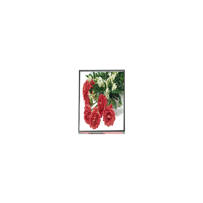 Καλή τιμή 5.5 ιντσών C055SWY2-1 LCD οθόνη για κινητό τηλέφωνο σε απευθείας σύνδεση