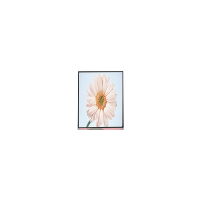 Καλή τιμή νέα 720*1280 C050HWA5-1 5,0 ιντσών LCD οθόνη σε απευθείας σύνδεση